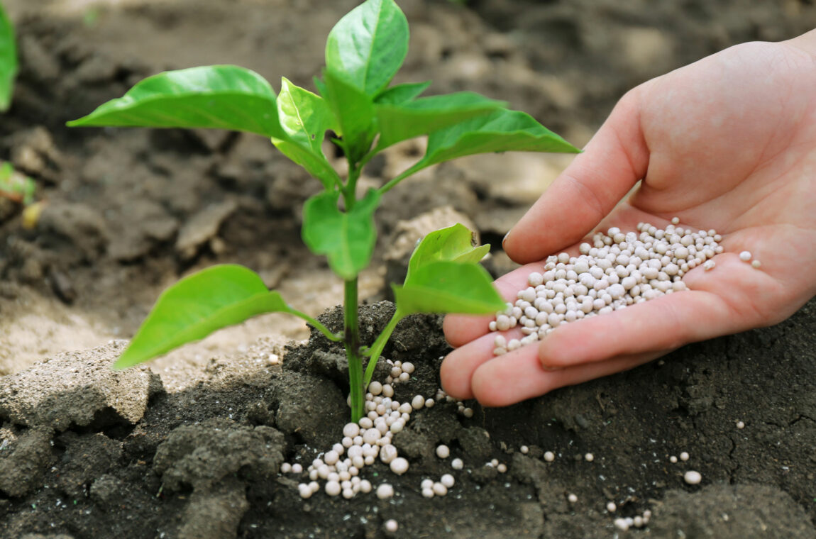 Tea Saponin manufacturer Tea Saponin manufacturer